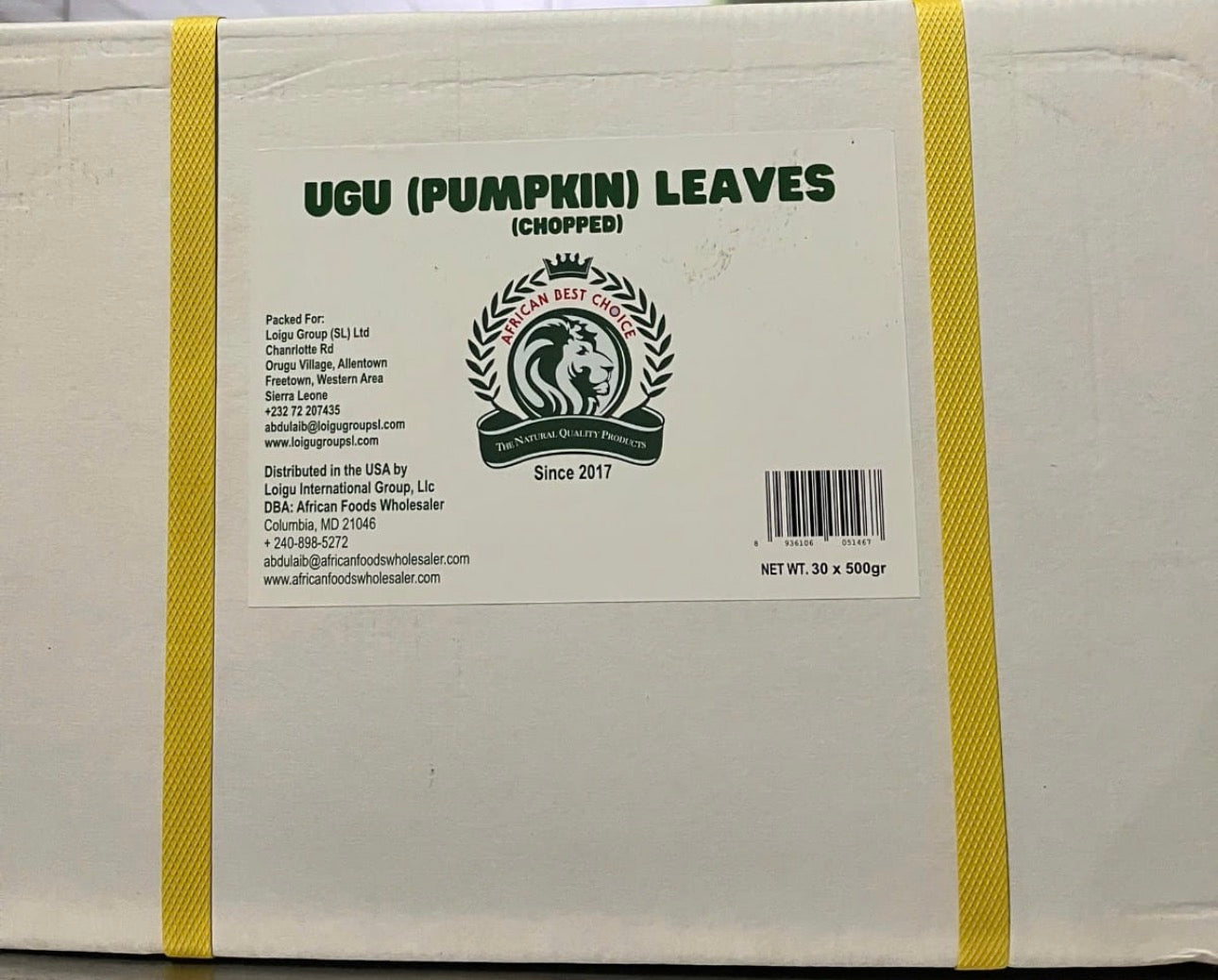 UGU/OKONOBONG 500g/18oz